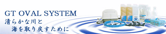 ＧＴオーバルシステム